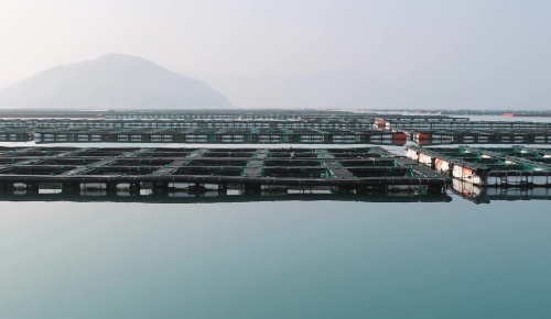 南藝UPVC管材在海水漁業(yè)領(lǐng)域應(yīng)用 南藝UPVC管材在海水漁業(yè)領(lǐng)域應(yīng)用